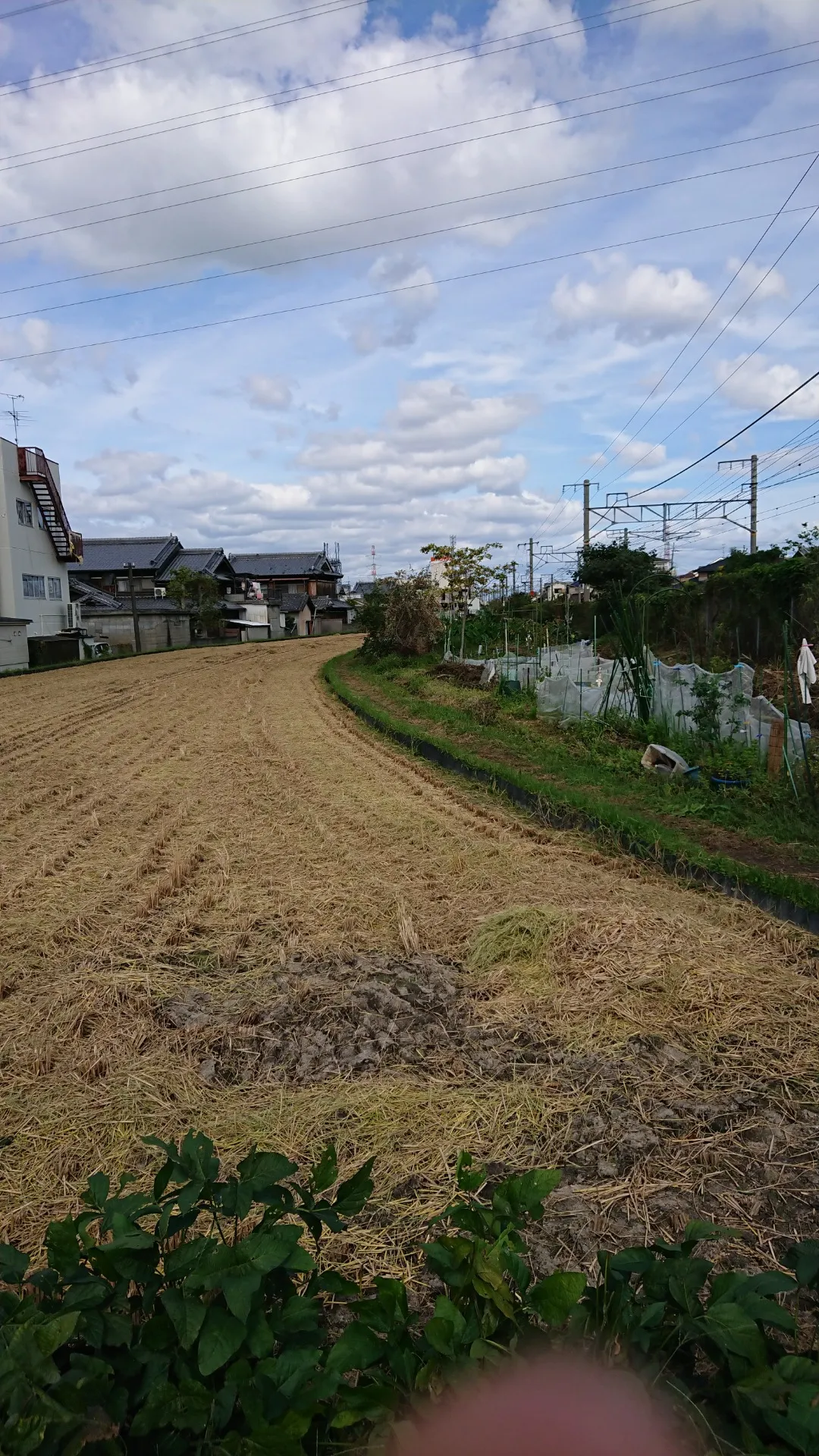 四重苦の土地