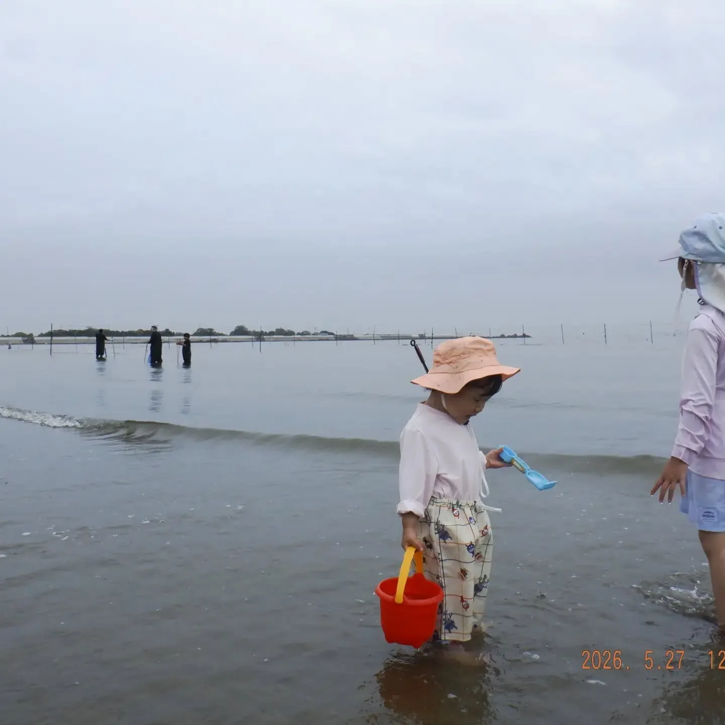 休みの日に、兵庫県姫路の新舞子海岸に潮干狩りに行ってきました...