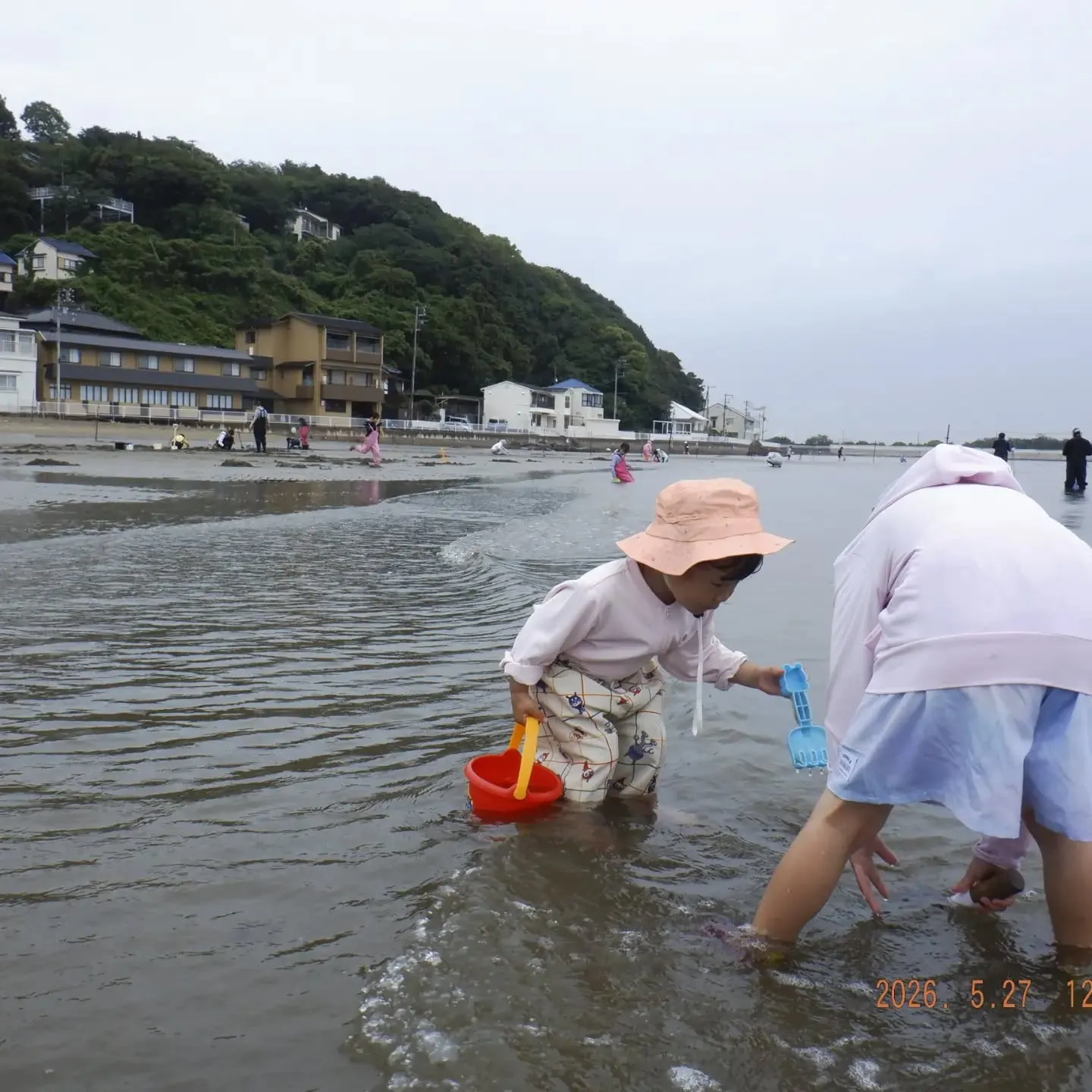 休みの日に、兵庫県姫路の新舞子海岸に潮干狩りに行ってきました...