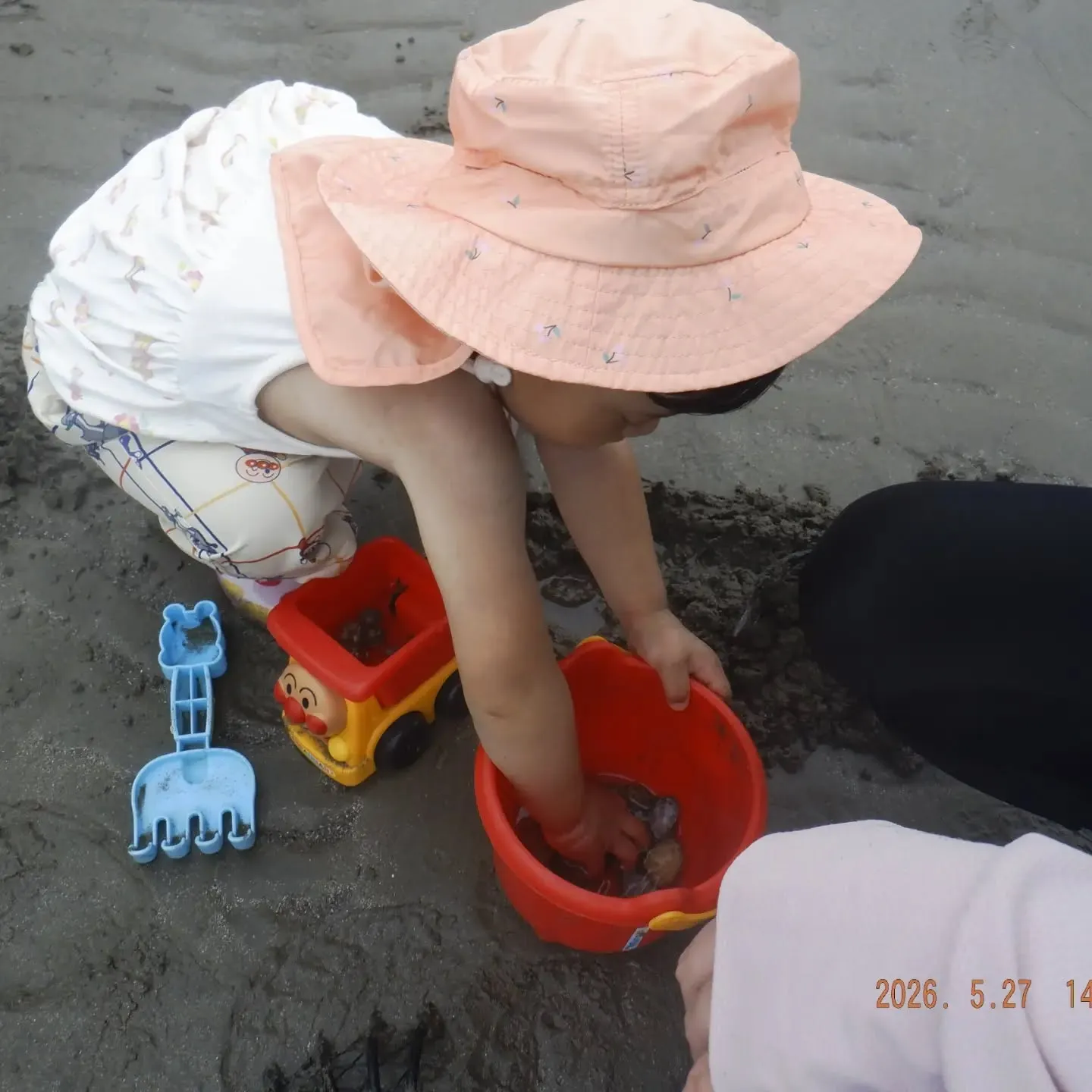 休みの日に、兵庫県姫路の新舞子海岸に潮干狩りに行ってきました...